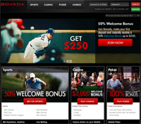 Bovada Sportsbook Review